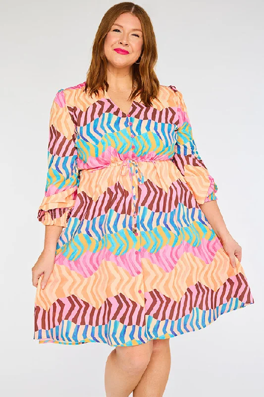 Sofia Zig Zag Zebra Dress